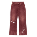PAINTED DENIM